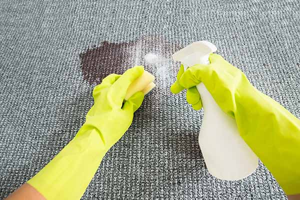 Seven DIY Rug Cleaning Tips To Make Your Rugs Look Like New