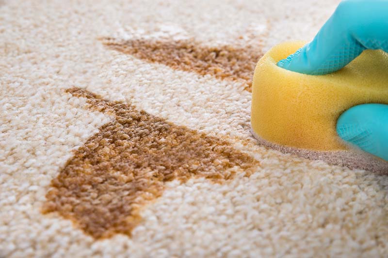 The Ultimate Stain Removal Guide